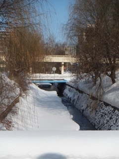 DSCF8948.jpg