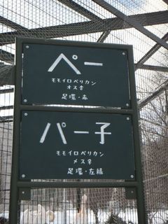 DSCF8955.jpg
