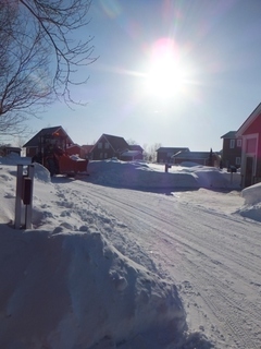 DSCF9071.jpg