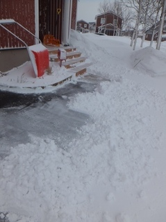 DSCF9152.jpg