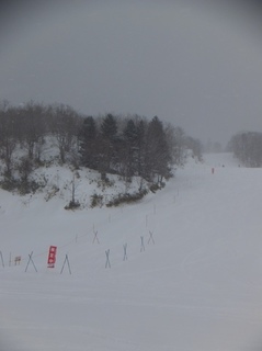 DSCF9154.jpg