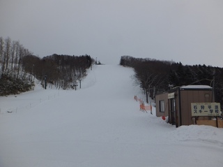 DSCF9161.jpg