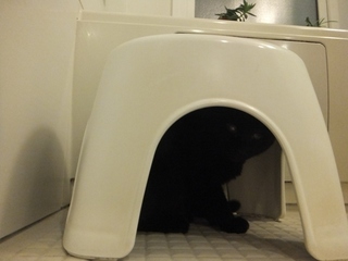 DSCF9171.jpg