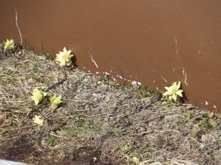 DSCF9426.jpg