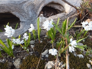 DSCF9542.jpg