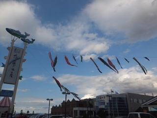 DSCF9588.jpg