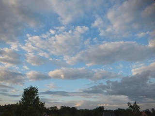DSCF9858.jpg