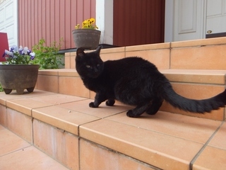 DSCF9952.jpg