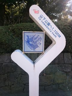 DSC_0287.jpg